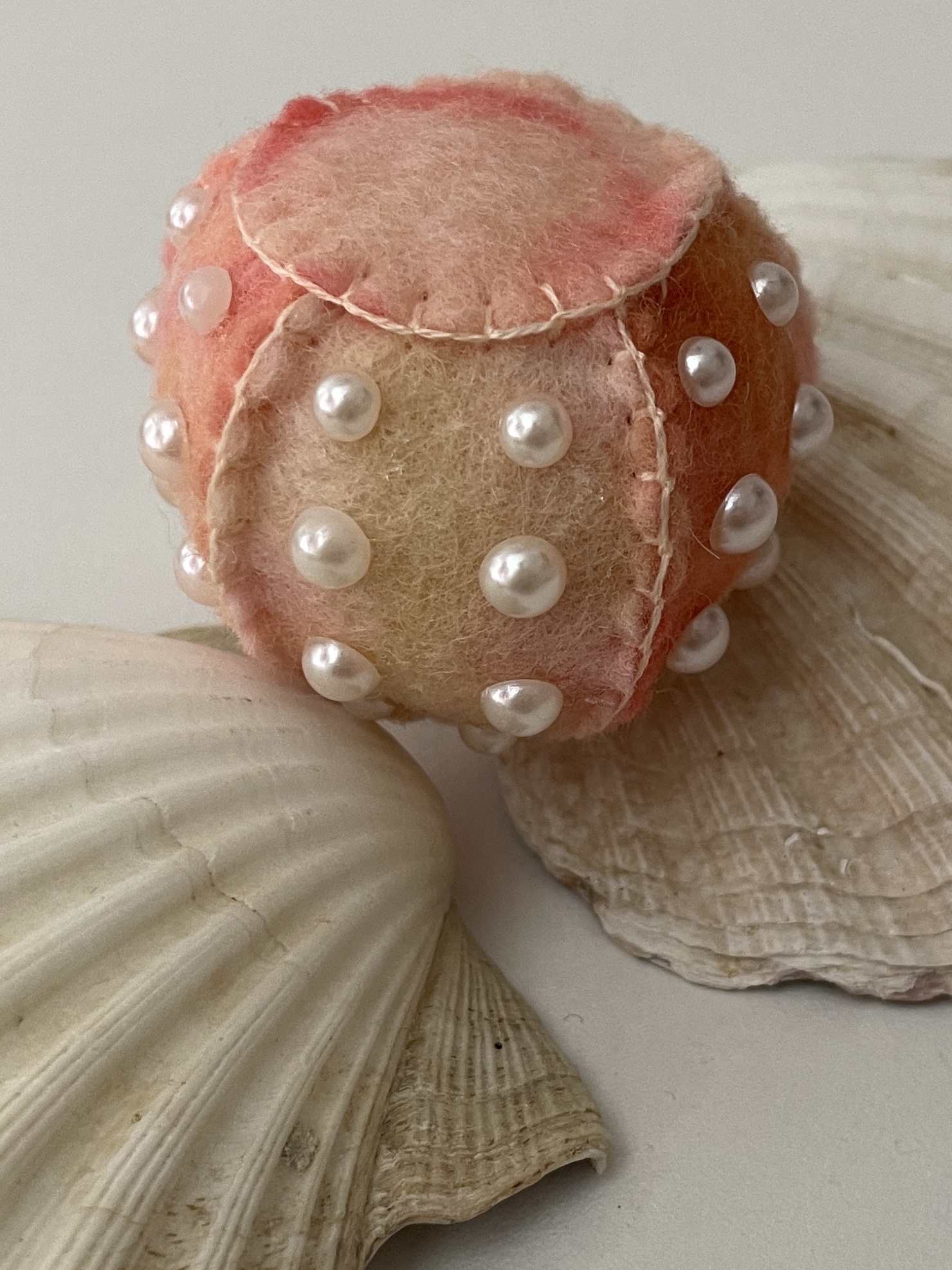 Seeigel klein