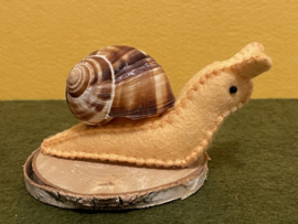 Schnecke lachs