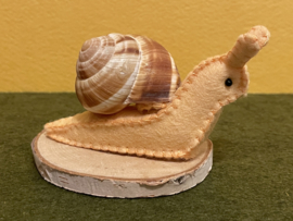 Schnecke lachs