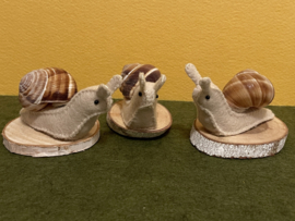Schnecke beige