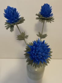 Distel Koningsblauw