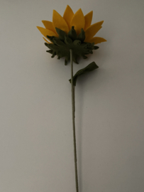 Zonnebloem