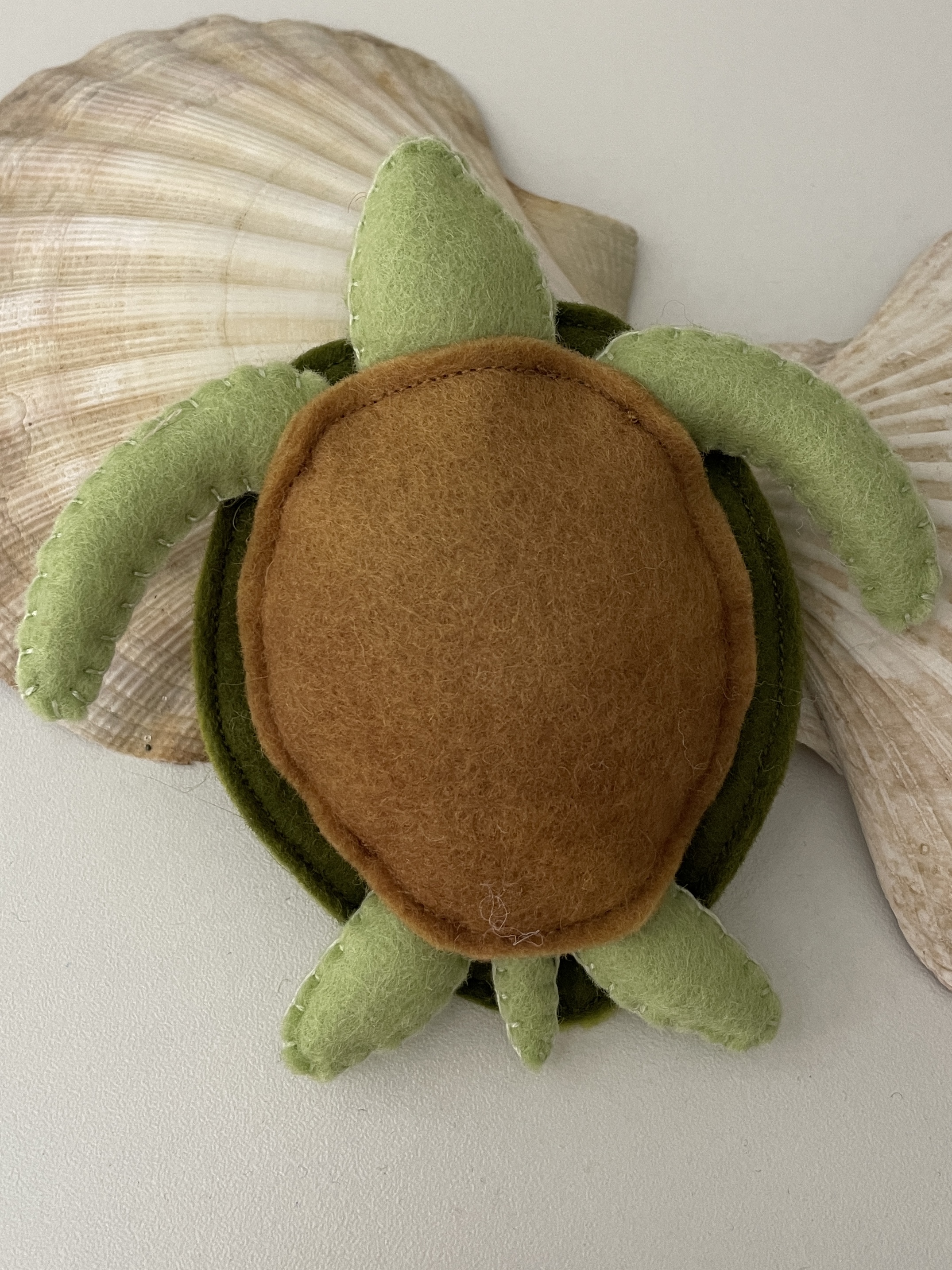 Turtle large