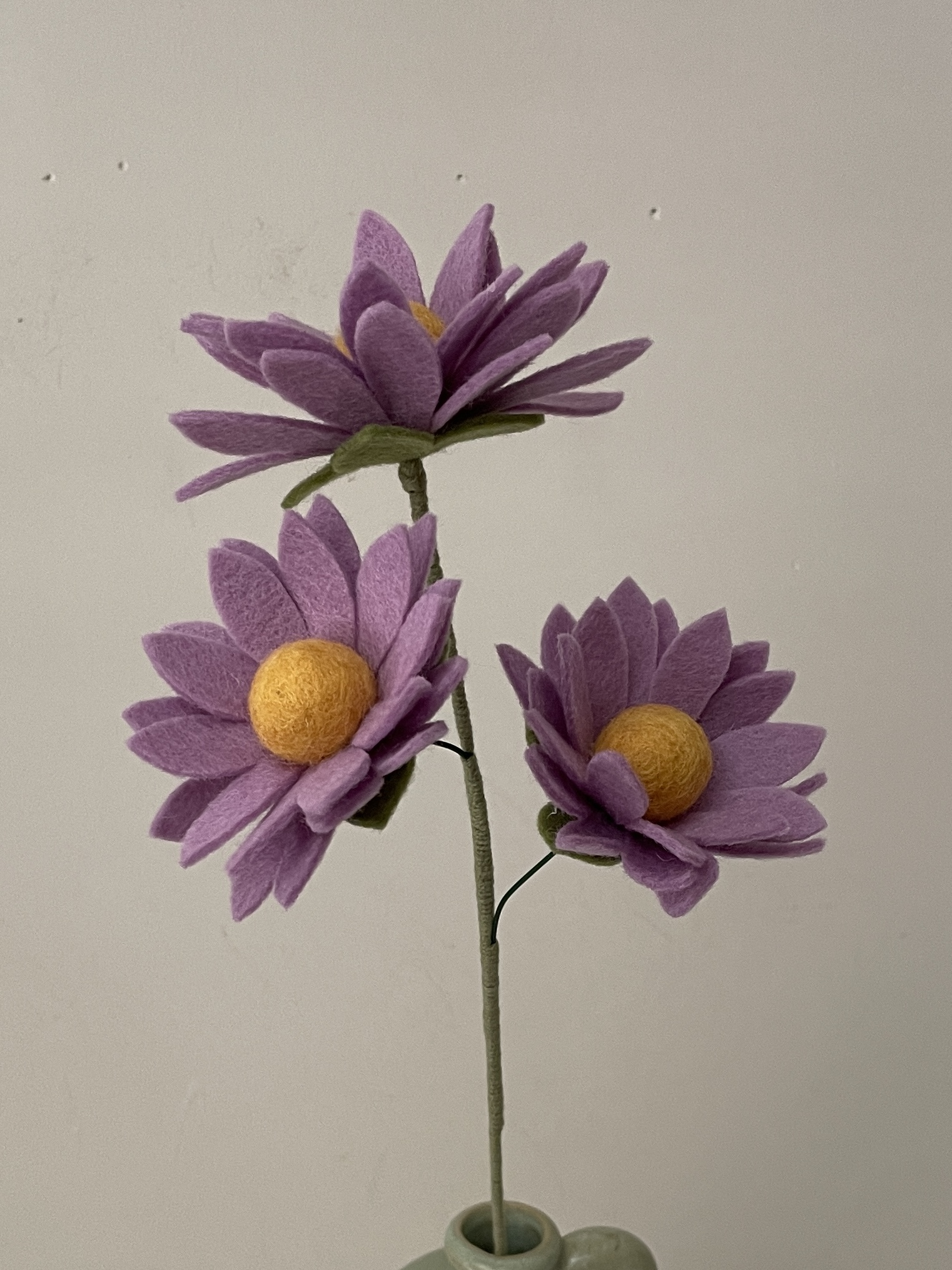 Aster roze/paars