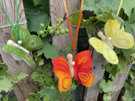 Vlinder rood - oranje