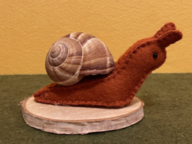 Schnecke braun