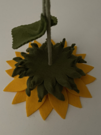 Zonnebloem