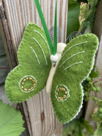 Vlinder groen / butterfly green