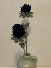 Distel Nachtblauw