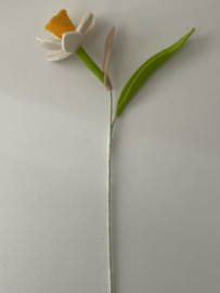 Narcis - Meerdere kleuren
