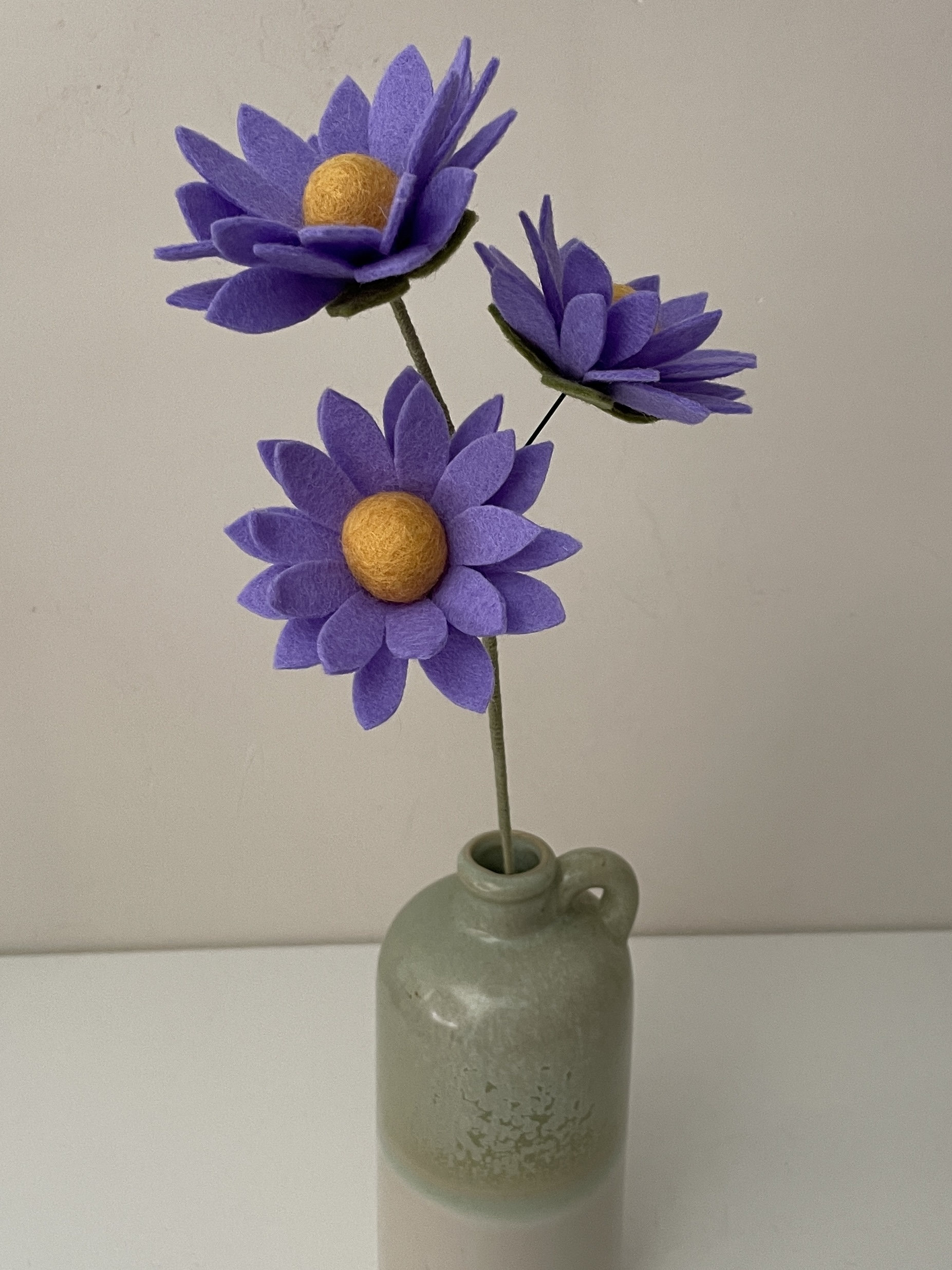 Aster blauw/paars