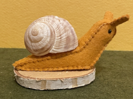 Schnecke mandarine