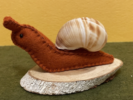 Schnecke braun
