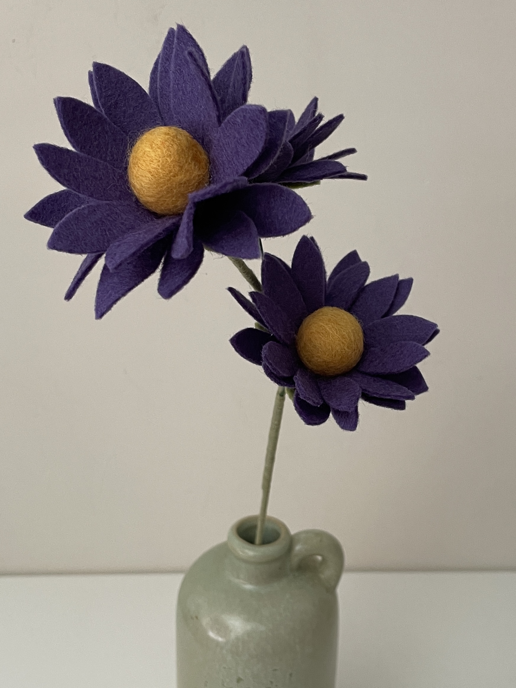 Aster paars