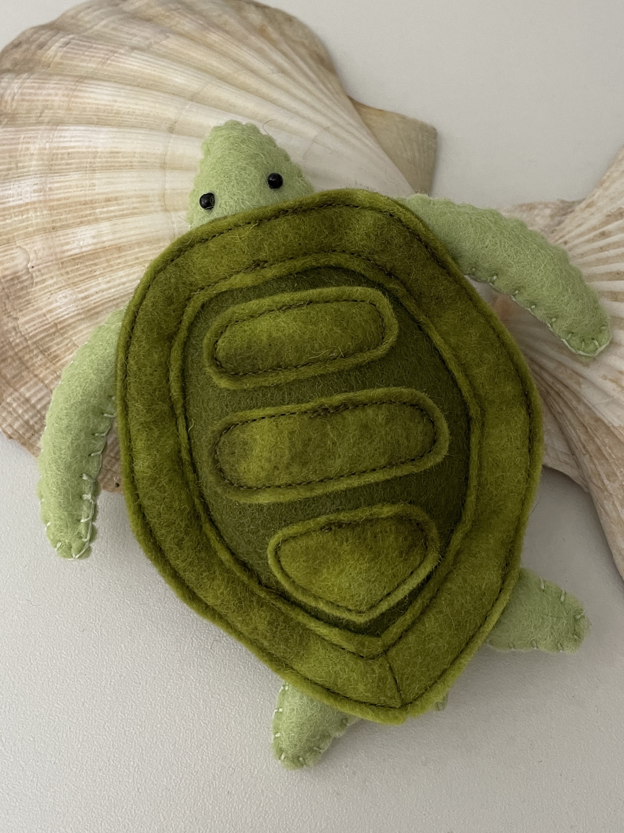 Schildkröte groß