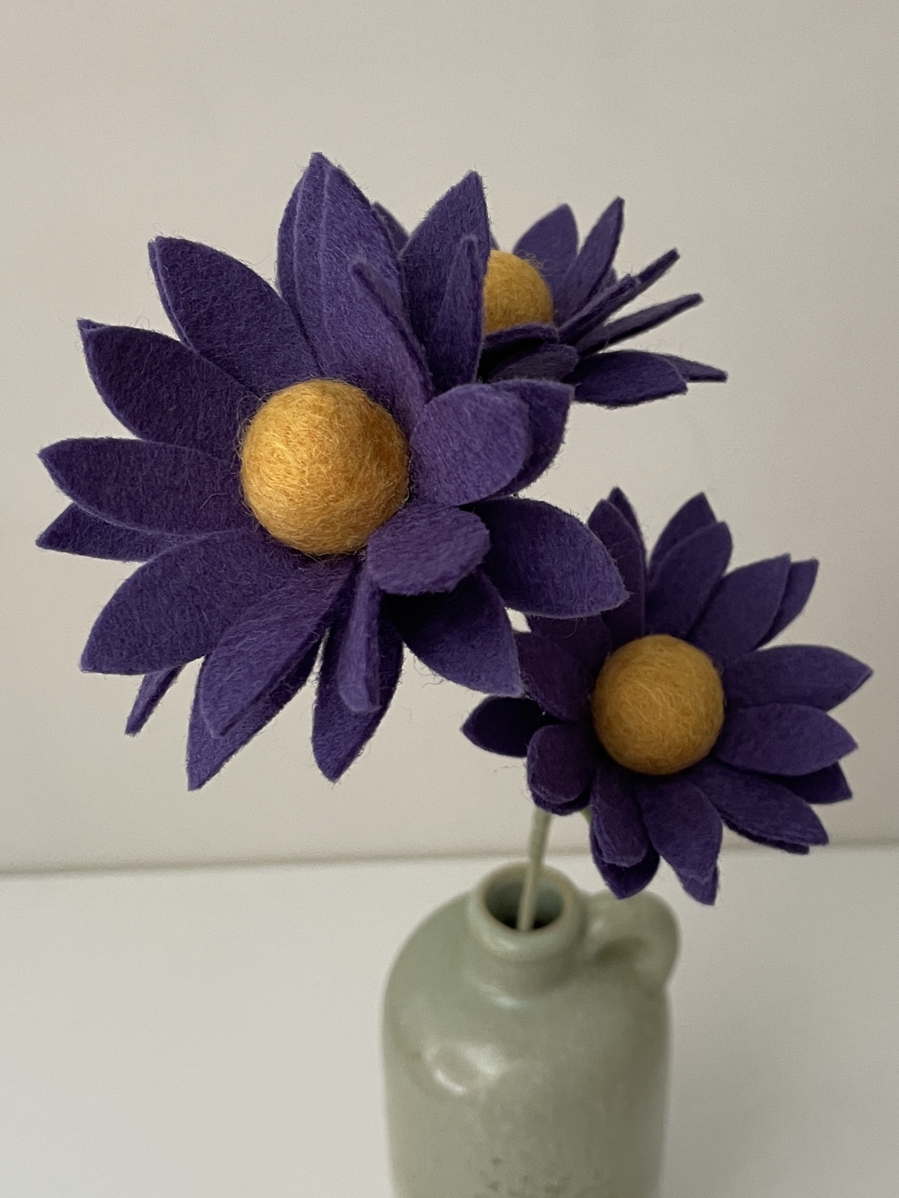 Aster paars