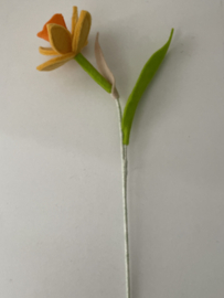 Narcis - Meerdere kleuren
