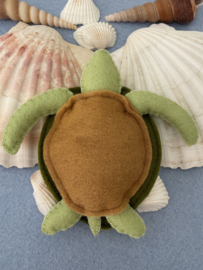 Schildpad groot