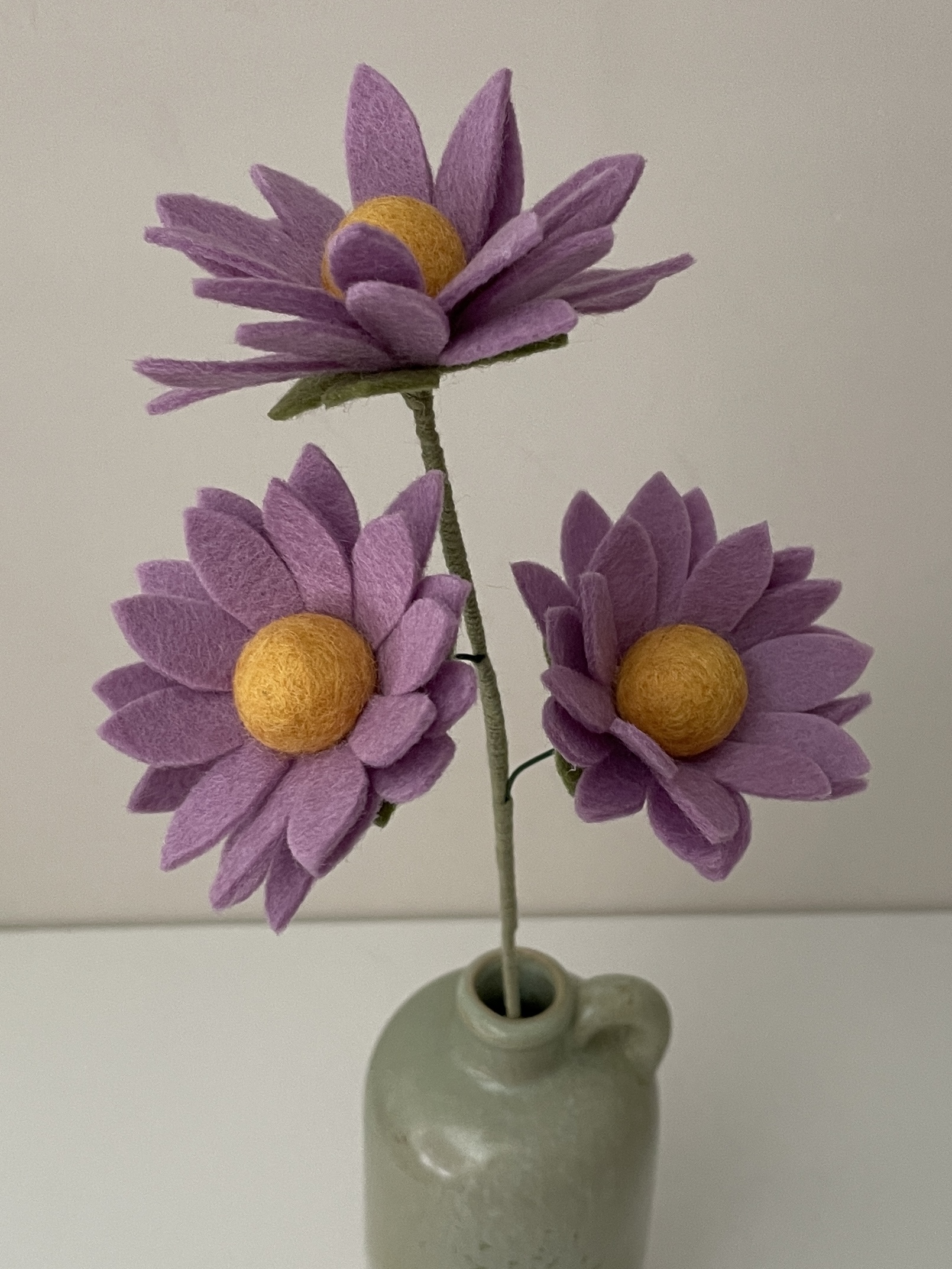 Aster roze/paars