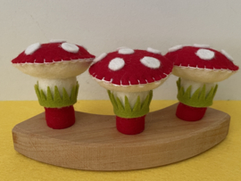 Jaarringsteker paddestoel