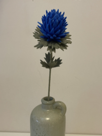 Distel Koningsblauw