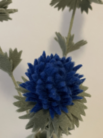 Distel Koningsblauw