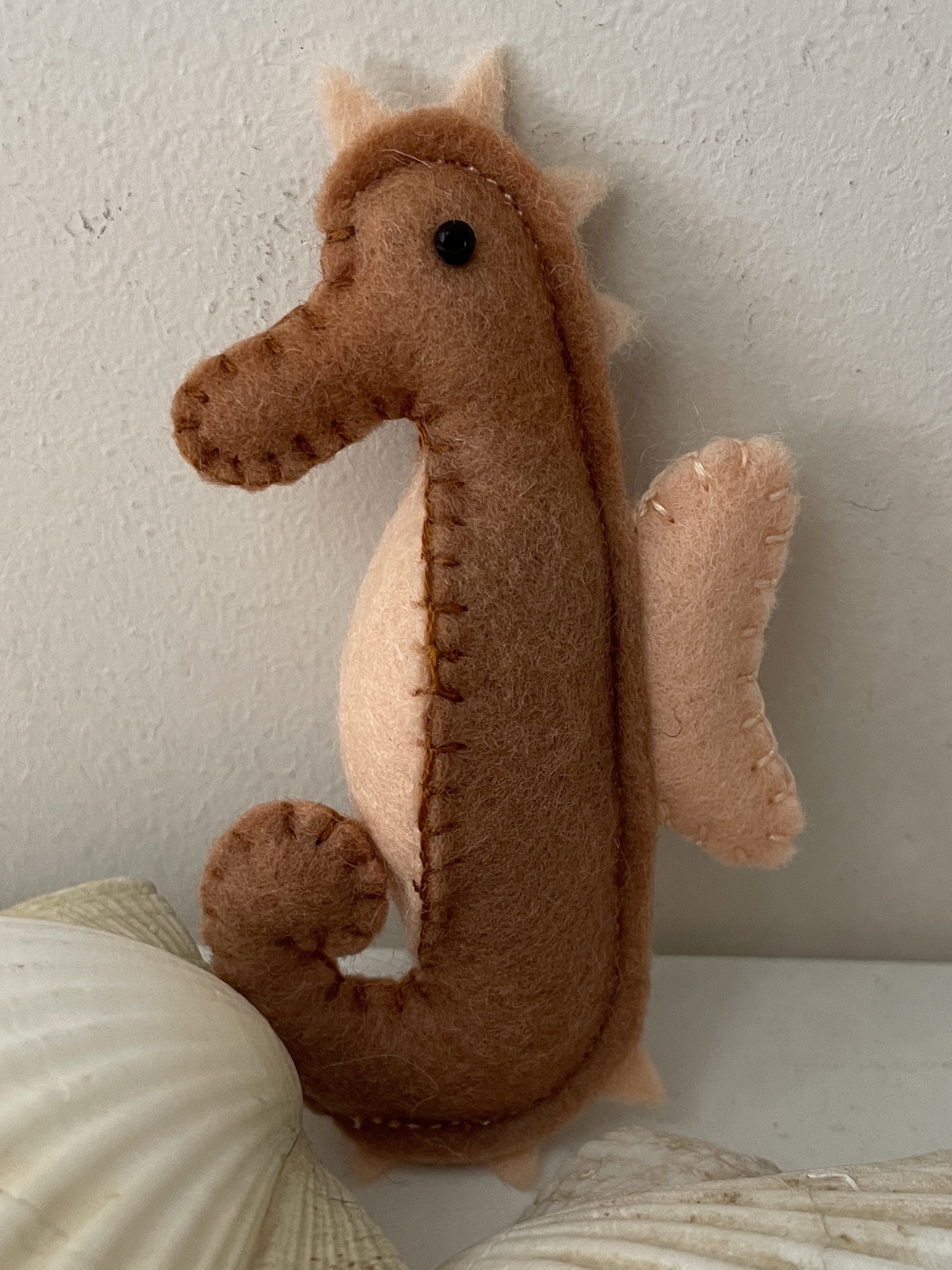 Seepferdchen klein braun
