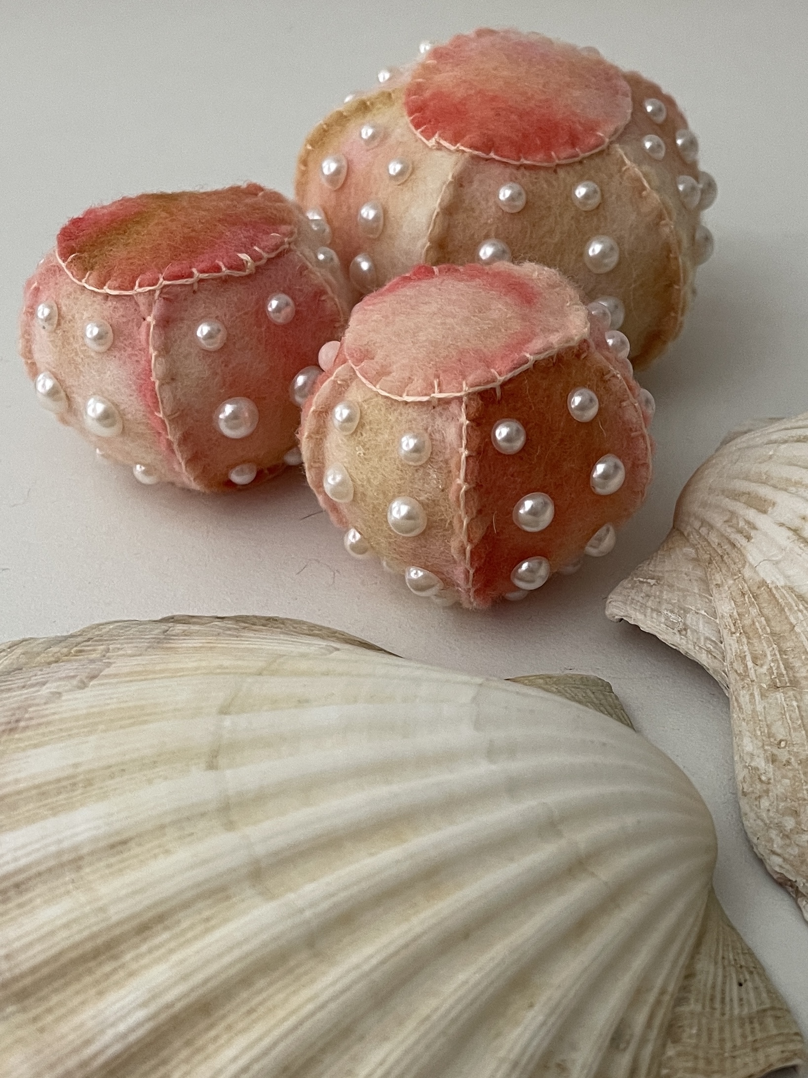 Seeigel groß