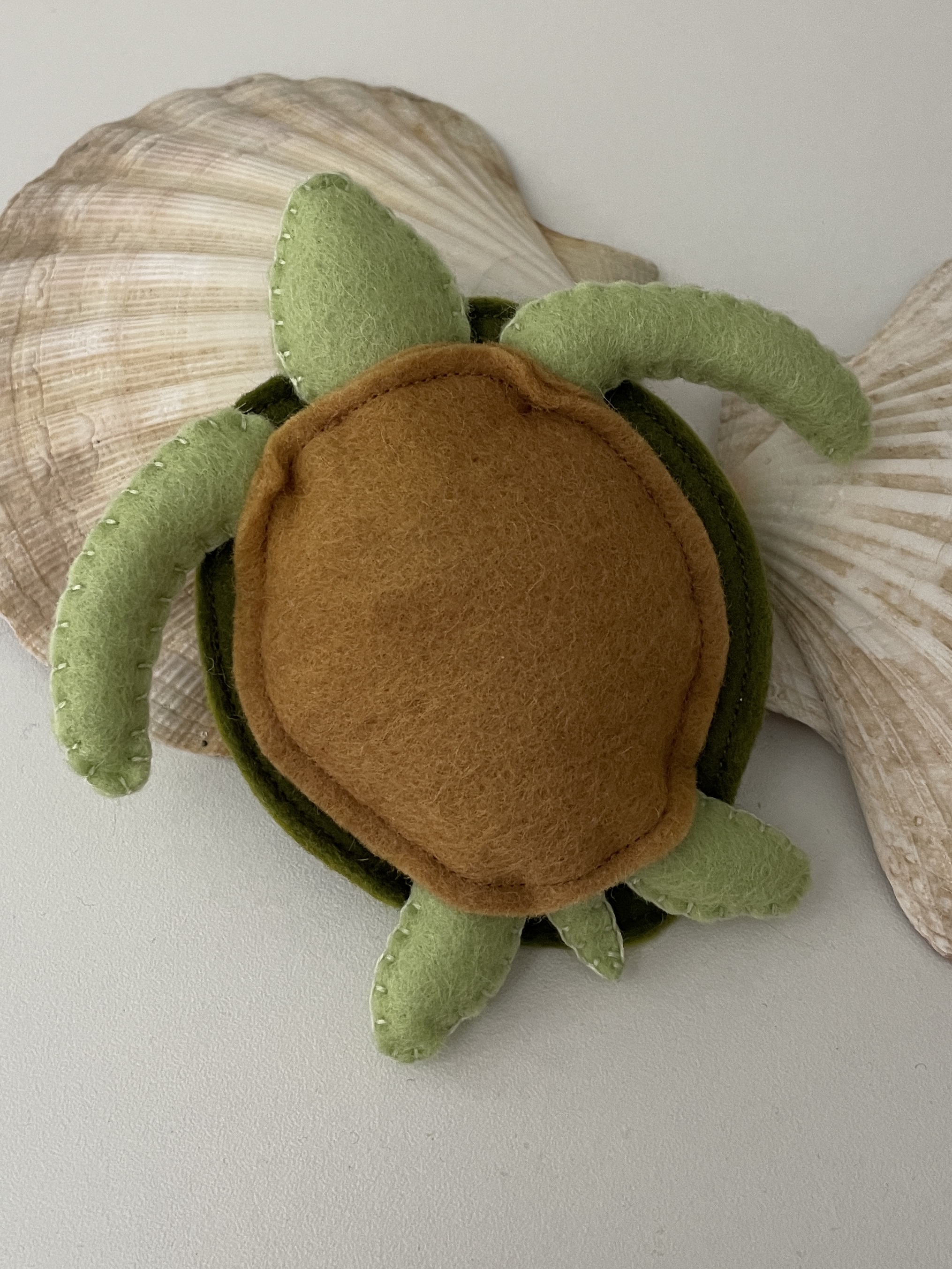 Turtle large
