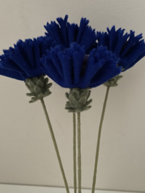 Cornflower