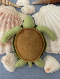 Turtle small