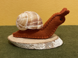 Schnecke braun