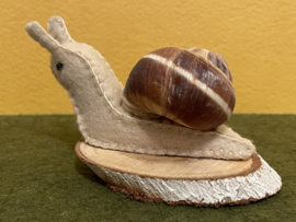 Schnecke beige