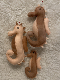 Seahorse large brown