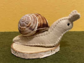 Schnecke beige