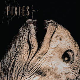 Pixies - Complete B-Sides 1988-97