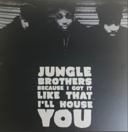 Jungle Brothers ‎– Because I Got It Like That / I'll House You (7")