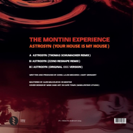 The Montini Experience - Astrosyn (12")