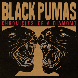 Black Pumas - Chronicles Of A Diamond (Clear)