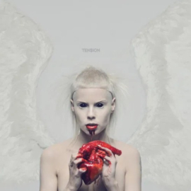 Die Antwoord - Ten$ion