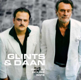Glints & Daan - (Not A) Housewife (7")