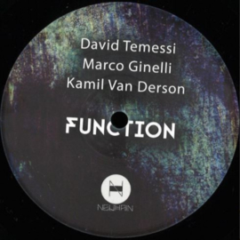 David Temessi & ... - Function (12")