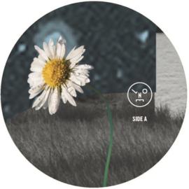 Sasha - Hollow Sun (12")