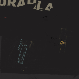 Drahla ‎– Useless Coordinates