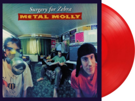 Metal Molly - Surgery For Zebra