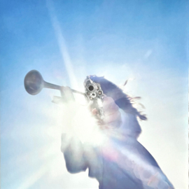 Geese - Getting Killed (Clear)