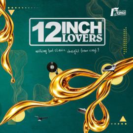 VA - 12 Inch Lovers 13 (2x12")