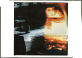 The Klinik - Plague & Pain And Pleasure (LP+12")