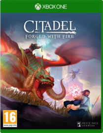 Citadel Forged With Fire