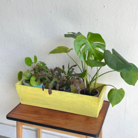 Houten trog/plantenbak